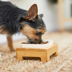 Frisco Square Melamine Dog & Cat Bowl with Bamboo Stand -FRISCO Sales 232072 PT8. SY630 V1605746845