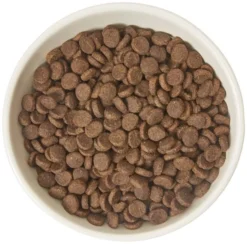 Frisco Double-Sided Ceramic Elevated Cat Bowl, 1.25 cups -FRISCO Sales 232081 PT3. SY630 V1605145964