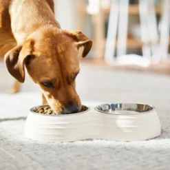 Frisco Stainless Steel Double Dog Bowls with Melamine Stand 11 Frisco Stainless Steel Double Dog Bowls with Melamine Stand -FRISCO Sales 232091 PT8. SY630 V1605738450
