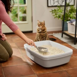 Frisco Tofu Clumping Cat Litter -FRISCO Sales 232117 PT4. SY630 V1659546420