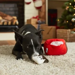 Frisco Holiday Hot Cocoa 2-in-1 Plush Squeaky Dog Toy -FRISCO Sales 233199 PT2. SY630 V1601304401