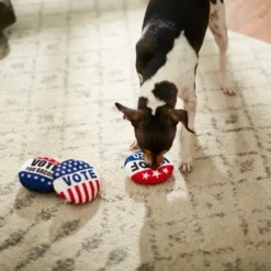 Frisco Plush Squeaky Voting Pins Dog Toy, 3 count -FRISCO Sales 233573 PT3. SY630 V1600973796