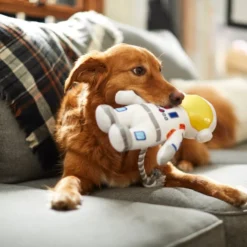 Frisco Ballistic Nylon Plush with Rope Squeaky Astronaut Dog Toy 7 Frisco Ballistic Nylon Plush with Rope Squeaky Astronaut Dog Toy -FRISCO Sales 233585 PT3. SY630 V1600973761