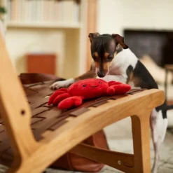 Frisco Crab Dense Foam Squeaky Dog Toy -FRISCO Sales 233589 PT3. SY630 V1600973800