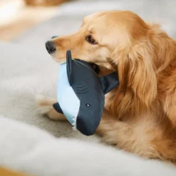 Frisco Ballistic Nylon Plush Squeaky Great White Shark Dog Toy -FRISCO Sales 233591 PT3. SY630 V1600973802