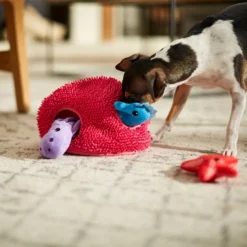 Frisco Hide & Seek Plush Coral Puzzle Dog Toy -FRISCO Sales 233595 PT3. SY630 V1600973820