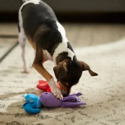 Frisco Hide & Seek Plush Coral Puzzle Dog Toy Refill, 3 count -FRISCO Sales 233597 PT3. SY630 V1600973853