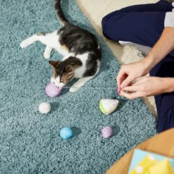 Frisco Birthday Bundle Cat Toy with Catnip, 5 count -FRISCO Sales 233599 PT2. SY630 V1600974070