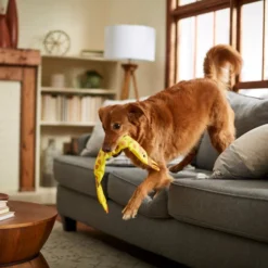 Frisco Giraffe Firehose Squeaky Dog Toy -FRISCO Sales 233611 PT3. SY630 V1600974060