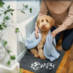 Frisco Microfiber Chenille Paw Print Dog & Cat Mat, Dark Gray -FRISCO Sales 235893 PT6. SY630 V1606833188