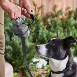 Frisco Large Size Dog Poop Bags with Fabric Dispenser, 30 count -FRISCO Sales 237013 PT6. SY630 V1610762789