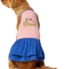 Frisco Bee Mine Dog & Cat Dress