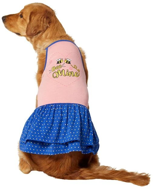 Frisco Bee Mine Dog & Cat Dress 3 Frisco Bee Mine Dog & Cat Dress
