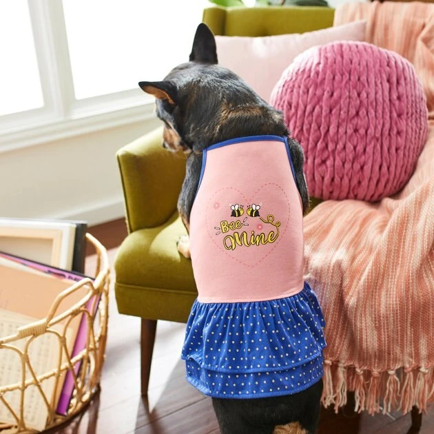 Frisco Bee Mine Dog & Cat Dress 7 Frisco Bee Mine Dog & Cat Dress - Image 5