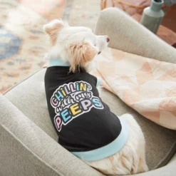 Frisco Chillin' With My Peeps Dog & Cat T-shirt 15 Frisco Chillin' With My Peeps Dog & Cat T-shirt -FRISCO Sales 241549 PT6. SY630 V1612794394