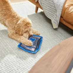 Frisco Zoomies & Chill TV Flat Plush Squeaky Dog Toy -FRISCO Sales 241685 PT6. SY630 V1610768399