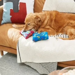 Frisco Zoomies & Chill Candy Plush Squeaky Dog Toy, 2 count 7 Frisco Zoomies & Chill Candy Plush Squeaky Dog Toy, 2 count -FRISCO Sales 241687 PT6. SY630 V1610768450