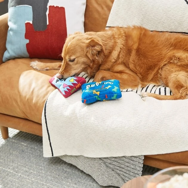 Frisco Zoomies & Chill Candy Plush Squeaky Dog Toy, 2 count 5 Frisco Zoomies & Chill Candy Plush Squeaky Dog Toy, 2 count - Image 3