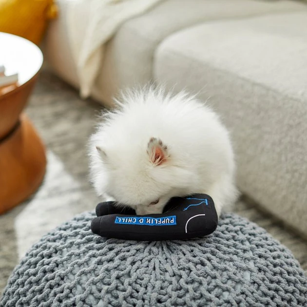 Frisco Zoomies & Chill Sweatpants Plush Squeaky Dog Toy 5 Frisco Zoomies & Chill Sweatpants Plush Squeaky Dog Toy - Image 3