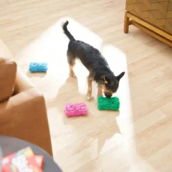 Frisco Zoomies & Chill Gummy Bear Plush Squeaky Dog Toy, 3 count -FRISCO Sales 241697 PT6. SY630 V1610768326