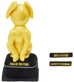 Frisco Zoomies & Chill Award Plush Squeaky Dog Toy