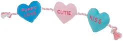 Frisco Candy Hearts Plush with Rope Squeaky Dog Toy