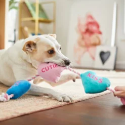 Frisco Candy Hearts Plush with Rope Squeaky Dog Toy -FRISCO Sales 241725 PT6. SY630 V1607989337