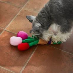 Frisco Rose Bouquet Plush Squeaky Dog Toy -FRISCO Sales 241733 PT6. SY630 V1607990908