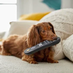 Frisco Zoomies & Chill Remote Latex Squeaky Dog Toy -FRISCO Sales 241753 PT6. SY630 V1610768496