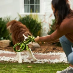 Frisco Dual Handle Neon Rope Squeaky Dog Toy, Yellow & Gray -FRISCO Sales 242129 PT2. SY630 V1605208706