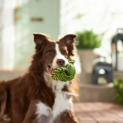 Frisco Dual Handle Neon Ball Squeaky Dog Toy, Yellow & Gray -FRISCO Sales 242131 PT2. SY630 V1605208693