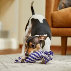 Frisco Flat Rope Squeaky Dog Toy, Purple & Gray -FRISCO Sales 242133 PT2. SY630 V1605208701