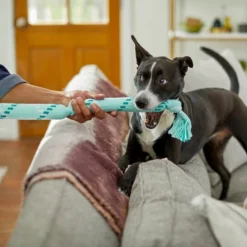 Frisco Double Fun Rope Squeaky Crinkle Dog Toy, Light Blue 7 Frisco Double Fun Rope Squeaky Crinkle Dog Toy, Light Blue -FRISCO Sales 242137 PT2. SY630 V1605208750