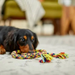 Frisco Pretzel Rope Dog Toy 7 Frisco Pretzel Rope Dog Toy -FRISCO Sales 242141 PT2. SY630 V1605208795