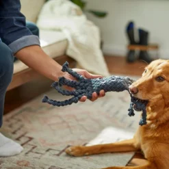 Frisco Spider Rope Squeaky Dog Toy -FRISCO Sales 242151 PT2. SY630 V1605208620