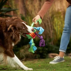 Frisco Colorful Ball Knot Rope Dog Toy -FRISCO Sales 242160 PT2. SY630 V1605208734