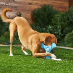 Frisco Plastic Tri-Flyer Dog Toy -FRISCO Sales 245910 PT2. SY630 V1607371960