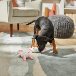 Frisco Bunny Plush Multipack Puppy Toy, 2 count -FRISCO Sales 245916 PT2. SY630 V1607371940