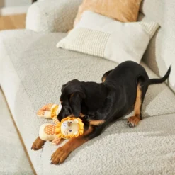 Frisco Lion Plush Multipack Puppy Toy, 2 count -FRISCO Sales 245918 PT2. SY630 V1607372049