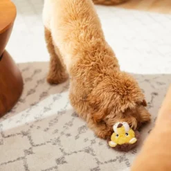 Frisco Lion Plush Squeaky Dog Toy -FRISCO Sales 245926 PT2. SY630 V1607372008