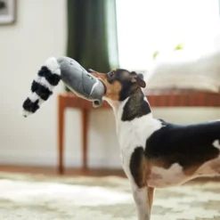 Frisco Raccoon Disc Plush Squeaky Dog Toy -FRISCO Sales 245930 PT2. SY630 V1607372013