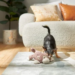 Frisco Plush Squeaking Monkey Dog Toy -FRISCO Sales 245938 PT2. SY630 V1607372029