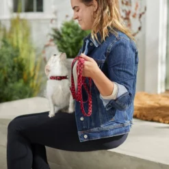 Frisco Buffalo Check Dog Leash -FRISCO Sales 246994 PT3. SY630 V1606866429