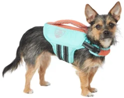 Frisco Active Dog Life Jacket