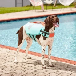 Frisco Active Dog Life Jacket -FRISCO Sales 247890 PT7. SY630 V1616505990