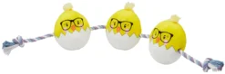 Frisco Easter Hipster Chicks Plush with Rope Dog Toy