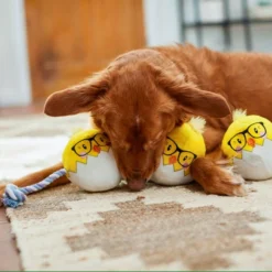 Frisco Easter Hipster Chicks Plush with Rope Dog Toy 7 Frisco Easter Hipster Chicks Plush with Rope Dog Toy -FRISCO Sales 248031 PT5. SY630 V1608767875