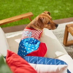 Frisco USA Dog & Cat Dress -FRISCO Sales 248659 PT4. SY630 V1632418898