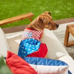 Frisco USA Dog & Cat Dress -FRISCO Sales 248659 PT7. SY630 V1614029540