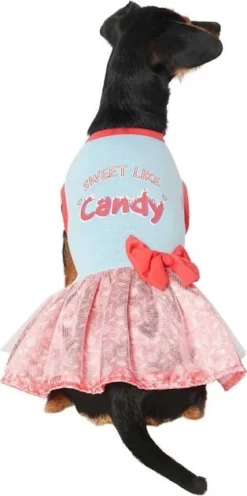 Frisco Sweet Like Candy Dog & Cat Dress -FRISCO Sales 248666 PT2. SY630 V1632421633